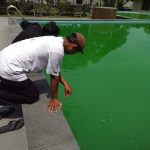 AIR KOLAM RENANG HIJAU