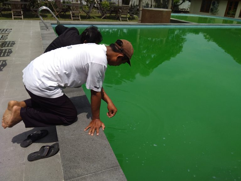 AIR KOLAM RENANG HIJAU